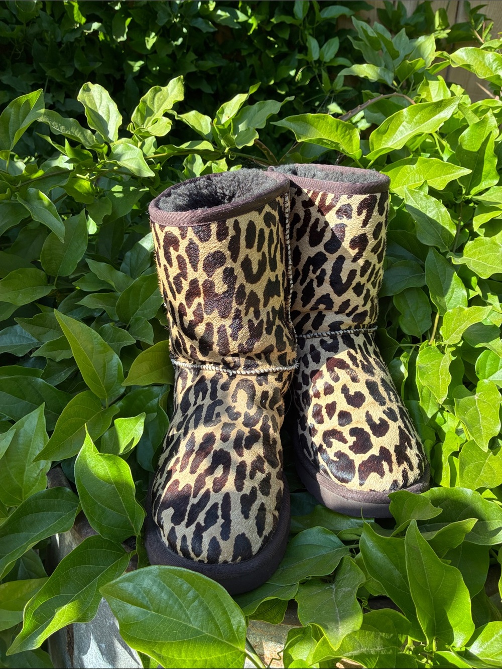 UGG Australia Leopard Prints Winter Boots - Brown